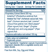 BronchoTone 90 Capsules